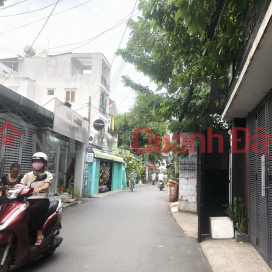 House for sale, Quang Trung, Go Vap, car alley, 42m2, price 5 billion. _0