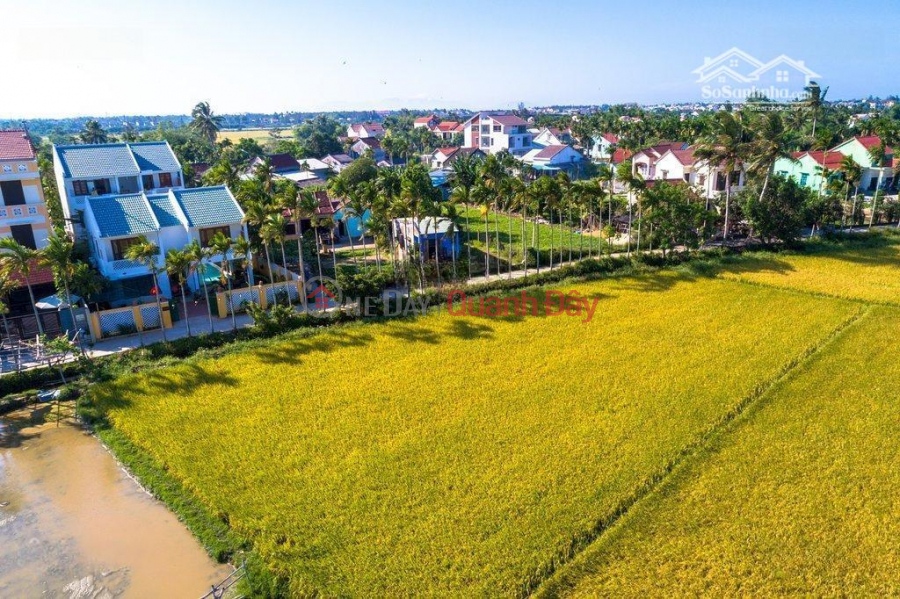 ₫ 1.43 Billion BEAUTIFUL LAND - Owner for sale Land Lot with Rice View, East facing, rare in Cam Kim, Hoi An, Quang Nam