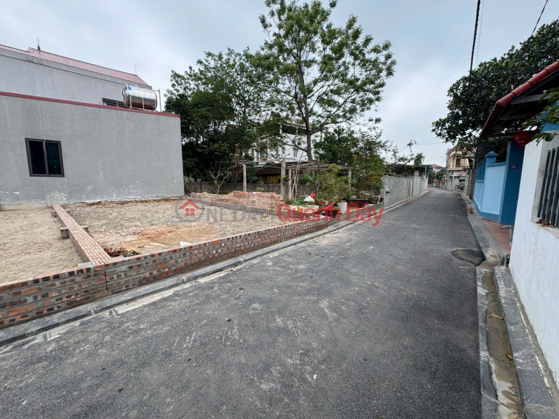 Property Search Vietnam | OneDay | Nhà ở | Niêm yết bán, BÁN ĐẤT 50.3M2 CÁN KHÊ NGUYÊN KHÊ ĐÔNG ANH - THÔNG Ô TÔ - CHỈ 3.X TỶ