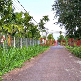 The owner needs to sell a beautiful plot of land - Hoa Thuan _0