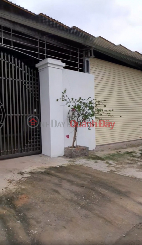 The owner needs to quickly rent a 2-storey house in Zone 3 - Binh Phu commune - next to Xom market - Hung Lo - Viet Tri _0