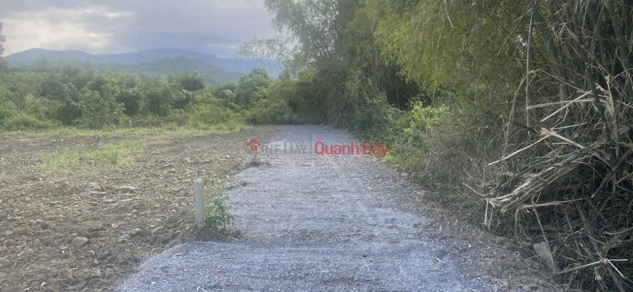 BEAUTIFUL LAND, FULL LAND PLAN, CHEAP PRICE 640 MILLION\\/LOT IN DIEN LAM, DIEN KHANH Vietnam | Sales | đ 640 Million