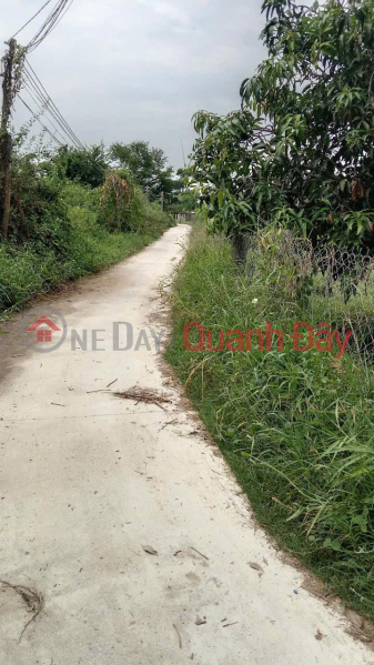 BEAUTIFUL LAND - GOOD PRICE - OWNER NEEDS TO SELL Land Lot HNK, Phuong Cuu, Phuong Hai, Ninh Thuan. | Vietnam | Sales | đ 750 Million