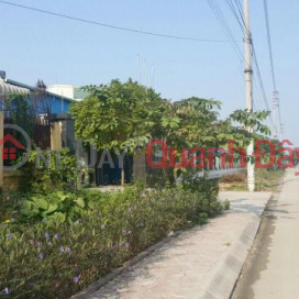 Land for sale in industrial zone in Phu Xuyen, Hanoi has 15,000m2 of workshop. _0