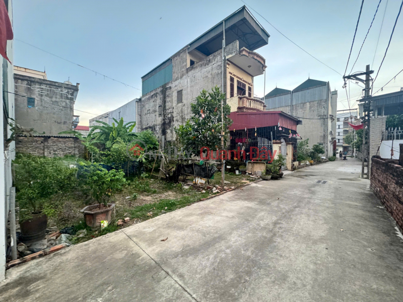 Property Search Vietnam | OneDay | Residential, Sales Listings Land for sale in Co Duong, Tien Duong - 94.6m2 - Car alley - Near the edge