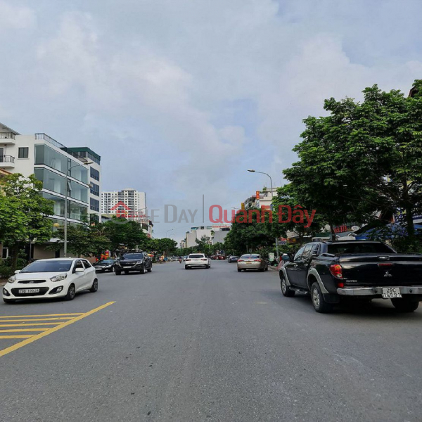 Property Search Vietnam | OneDay | Residential, Sales Listings 52m2 Thanh Trung Street, Trau Quy, Gia Lam. Square Mt 4.6.