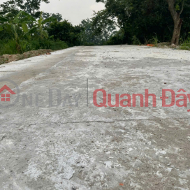 OWNER'S LAND - PRIME LOCATION - Land in Dinh Cuong, Xuan Lai, Gia Binh, Bac Ninh _0