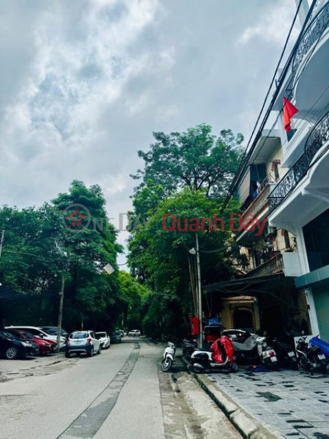 Selling Tam Trinh subdivided land 60m mt4m car, running football sidewalk business _0