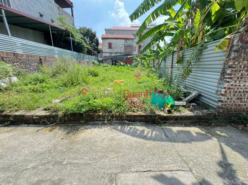 Land for sale in Mai Dong village, Mai Dinh - Soc Son - 83m2 - 2.55 billion - Road with car parking Vietnam Sales, đ 2.55 Billion