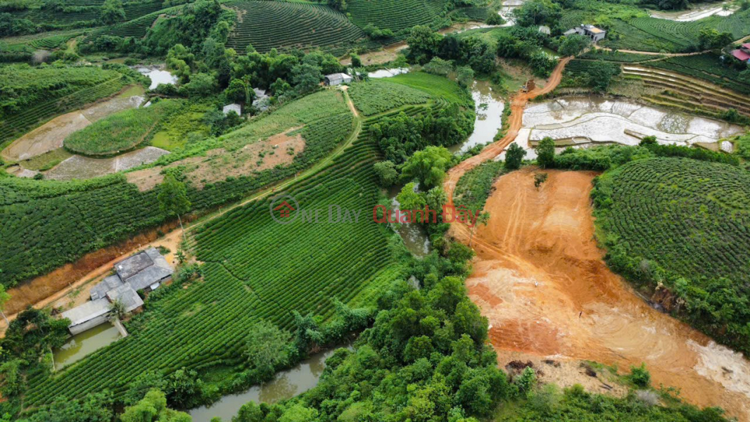 ĐẤT ĐẸP – GIÁ ĐẦU TƯ – CHÍNH CHỦ CẦN BÁN LÔ ĐẤT Tại XÃ MINH ĐÀI, HUYỆN TÂN SƠN, TỈNH PHÚ THỌ | Việt Nam Bán | đ 1,1 tỷ