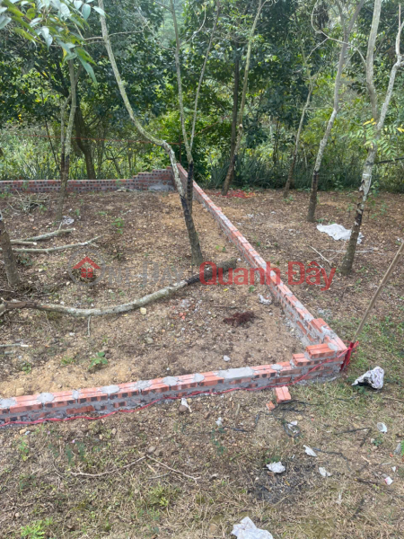 Selling a 282m2 plot of land (7m wide, 40m deep, 100m2 residential land, 182m2 garden land) on District Road 73 – Zone 4 – Bac Son – Sales Listings