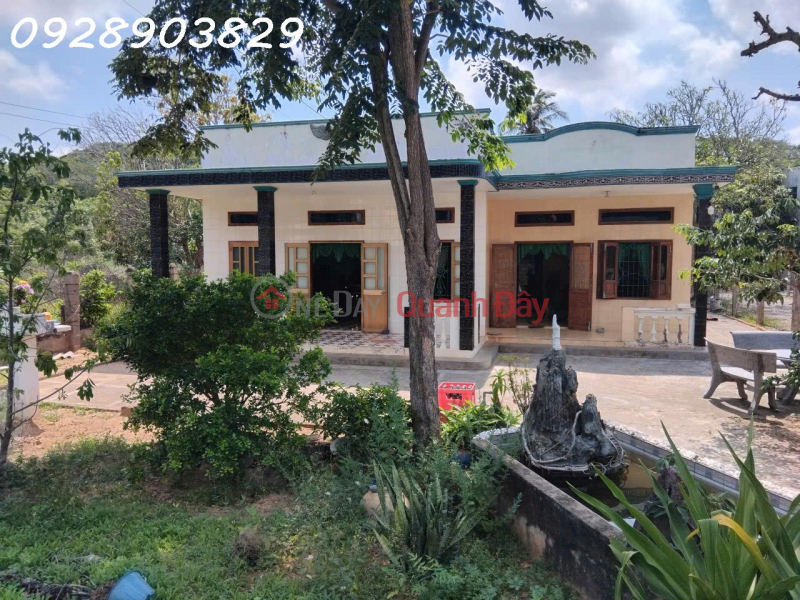 Property Search Vietnam | OneDay | Residential | Sales Listings, Urgent sale of 1067m2 land in Lac Long Quan, Tien Thanh Ward, Phan Thiet City, price 16 billion VND, commission 2%.