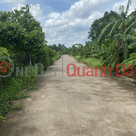 Beautiful Land - Good Price - Owner Needs to Sell Land with 2 Fronts in Hung Loc - Thong Nhat - Dong Nai _0