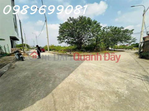 Land for sale at auction X5 Dong Tay Van Tri Dong Anh Land for sale at auction X5 Dong Tay Van Tri Dong Anh-Planning _0