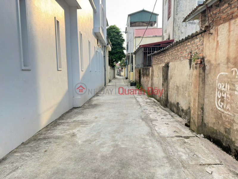 Bán đất thôn Gia Trung, xã Quang Minh, Mê Linh. Gần KCN và đường Võ Văn Kiệt | Việt Nam Bán, đ 2,6 tỷ
