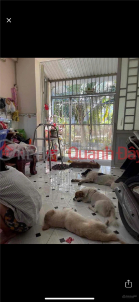  | Làm ơn chọn, Nhà ở | Niêm yết bán đ 2 tỷ