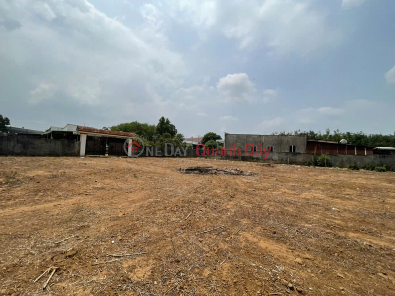 Property Search Vietnam | OneDay | Nhà ở Niêm yết bán, CHÍNH CHỦ bán đất Bàu Cạn, Long Thành, Đồng Nai- 4.381m2, có 300m thổ cư, còn lại là CLN