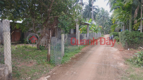 ĐẤT ĐẸP – GIÁ TỐT –CHÍNH CHỦ CẦN BÁN ĐẤT đường trần tôn thất, hoài xuân, thị xã hoài nhơn, bình định _0