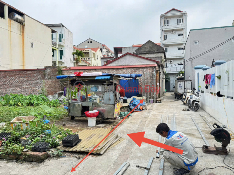 Property Search Vietnam | OneDay | Nhà ở Niêm yết bán | Cơ Hội Hiếm Có: Bán Đất Lô Góc 259m² Tại Trung Tâm Thị Trấn Chi Đông, Mê Linh