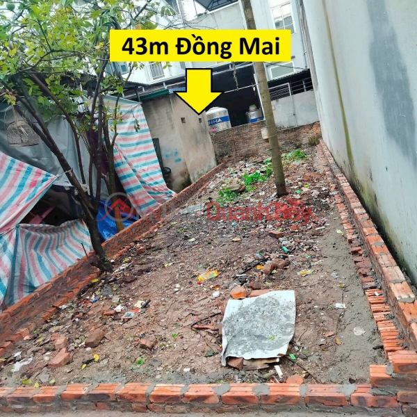 OWNER SELLS 43M2 LAND LOT IN DONG MAI-HA DONG-HA NOI Sales Listings