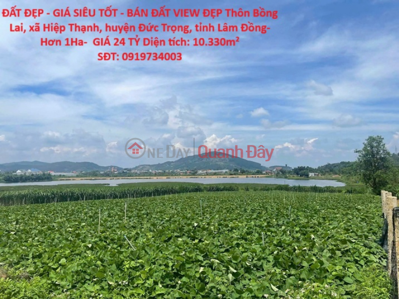 PRIME LAND - SUPERB PRICE - LAND FOR SALE WITH BEAUTIFUL VIEW IN DUC TRONG, LAM DONG - OVER 1 HECTARE - PRICE 24 BILLION VND Sales Listings
