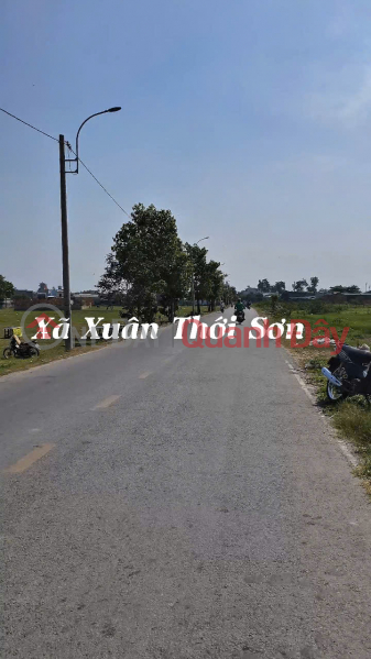 Property Search Vietnam | OneDay | Residential, Sales Listings (8) Large land for sale, frontage, container road, 4,208m2, Hoc Mon District, price 30 billion x billion