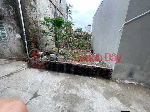 BÁN ĐẤT NỀN THỔ CƯ DOI SÓC – PHÙ CHẨN – TỪ SƠN – BẮC NINH _0