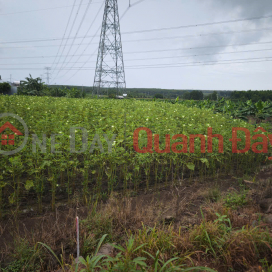 PRIME LAND – GOOD PRICE – OWNER SELLING AT Parallel Road to National Highway 20, Gia Tan 2 Commune, Thong Nhat District, Dong Nai Province PRIME LAND – GOOD PRICE – OWNER SELLING AT Parallel Road to National Highway 20, Gia Tan 2 Commune, Thong Nhat District, Dong Nai Province _0