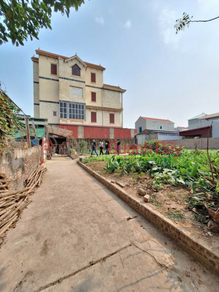 Property Search Vietnam | OneDay | Residential | Sales Listings 50.9m² of land in Trung Chau, Lien Minh, Hanoi.