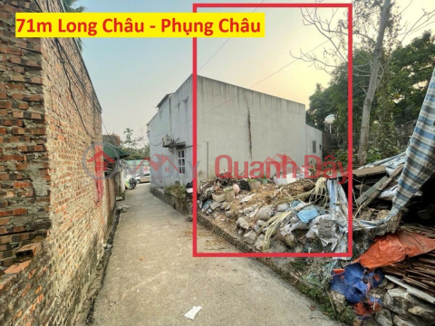HÀNG HIẾM 71M TẠI PHỤNG CHÂU-CHƯƠNG MỸ-HÀ NỘI GẦN CHỢ GẦN TRƯỜNG _0
