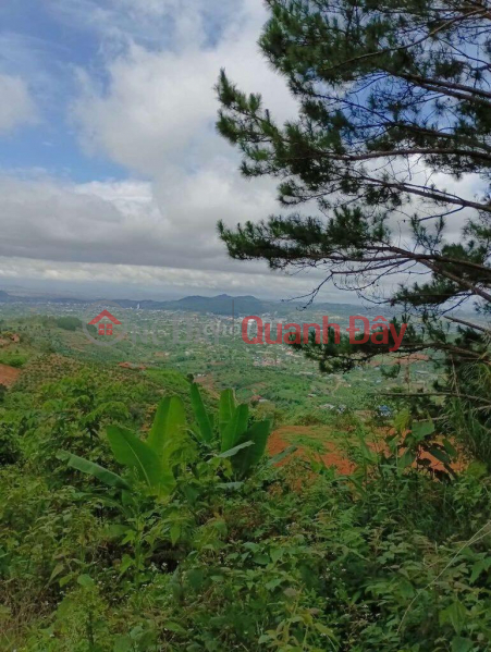 OWNER NEED TO SELL LOT OF LAND in the coastal area of Da Lat, High and Cool View, Vietnam Sales | đ 3 Billion