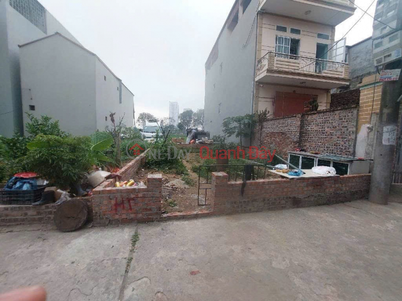 URGENT LAND FOR SALE IN PHUC THO - MAI LAM Commune - DONG ANH District - Hanoi City, Vietnam, Sales | đ 5.9 Billion