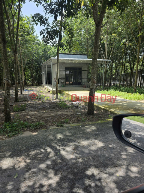 PROFITABLE INVESTMENT - Owner Needs to Sell Land Plot in Minh Thanh Commune, Dau Tieng District, Binh Duong Province _0