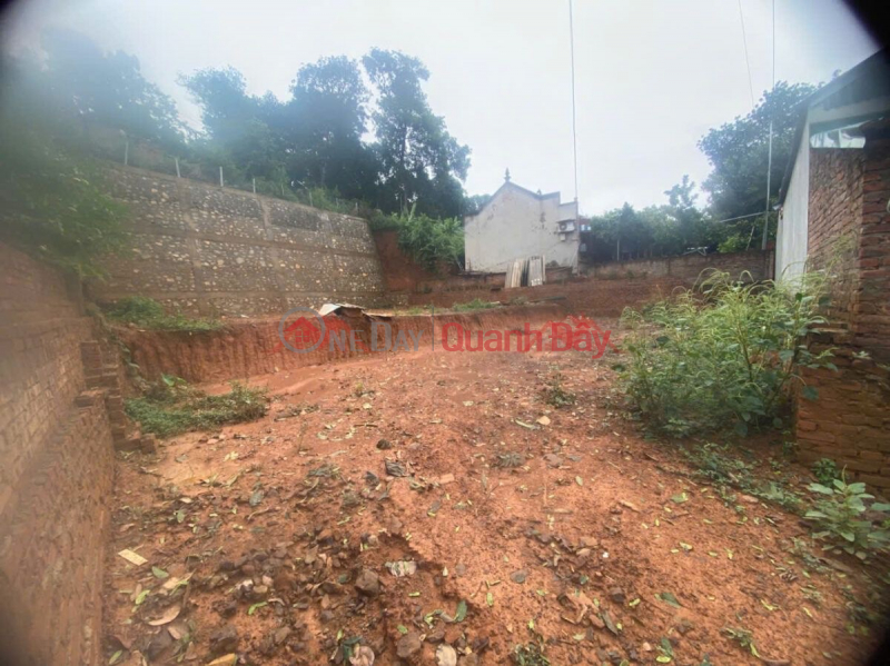 Property Search Vietnam | OneDay | Residential, Sales Listings, OWNER NEEDS TO SELL 533M2 LAND LOT IN TIEN PHUONG, NEAR CHUC SON TOWN-CHUONG MY-HANOI
