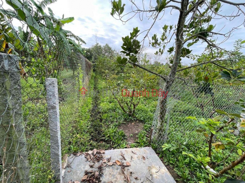 Property Search Vietnam | OneDay | Residential Sales Listings OWNER QUICK SELLING LOT OF LAND Beautiful Location In Cai Lay Town, Tien Giang Province