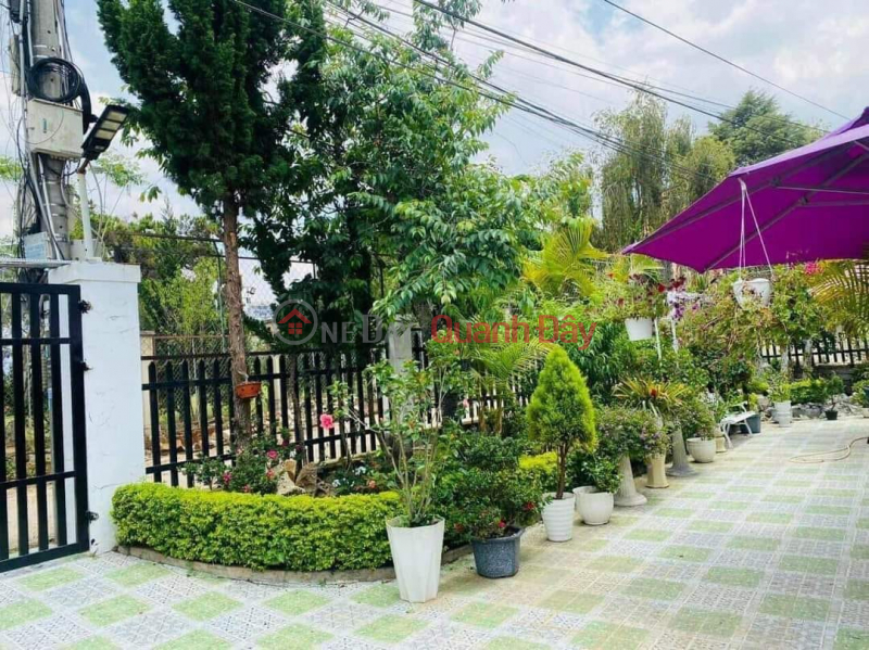 [Hot News] Discount Urgent sale Villa on Ly Nam De street, Da Lat 229m2 price only 11.5 billion | Vietnam, Sales | ₫ 11.5 Billion