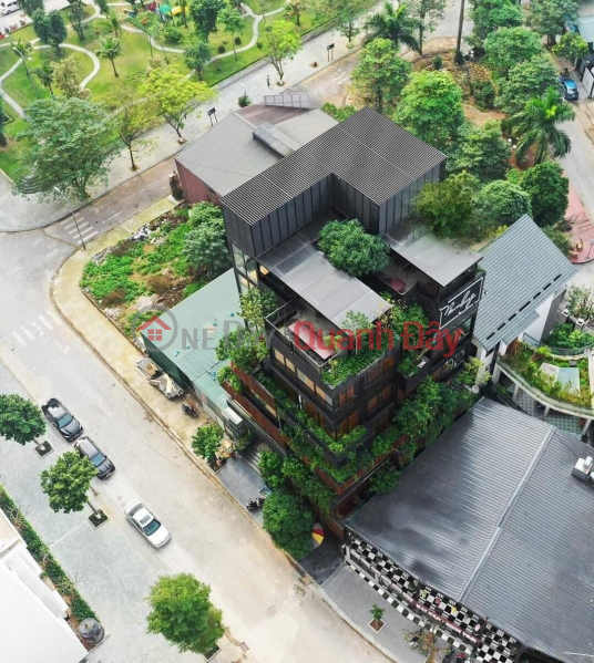 Auction villa for sale in Tu Hiep, Thanh Tri, 229m2, 4-frontage view, crowded population, business Sales Listings