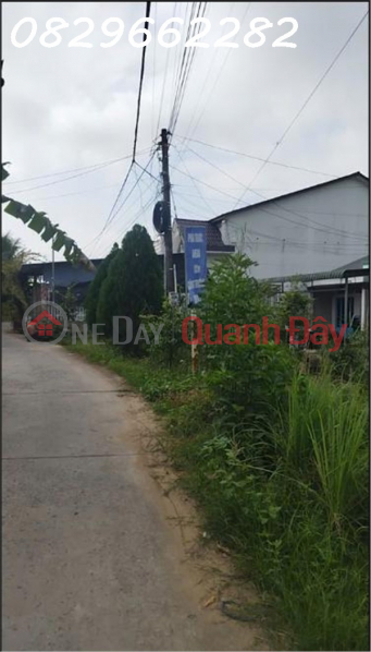 Property Search Vietnam | OneDay | Nhà ở, Niêm yết bán Bán Đất Thổ Cư 143m² Ngã Am, An Hòa, TP Sa Đéc. Sổ Hồng, Hướng Đông, Giá 1.7 Tỷ.