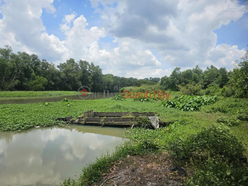 đ 13.5 Billion Owner sells 5592m2 of land on the frontage of DT 748, Thi Tinh River view in An Dien, Ben Cat, Binh Duong