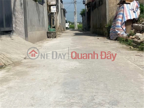 ĐẤT ĐẸP - GIÁ TỐT - THỔ CƯ 100% Tại ĐỨC HẬU - ĐA PHÚC - SÓC SƠN - HÀ NỘI _0