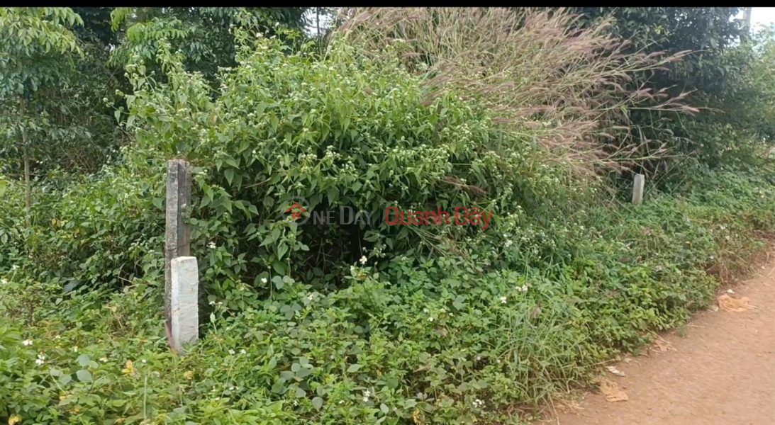 OWNER Urgently Needs To Sell Land Lot - Extremely Cheap Price In Brel Village, Ia Der Commune, Ia Grai District, Gia Lai, Vietnam, Sales đ 1.3 Billion