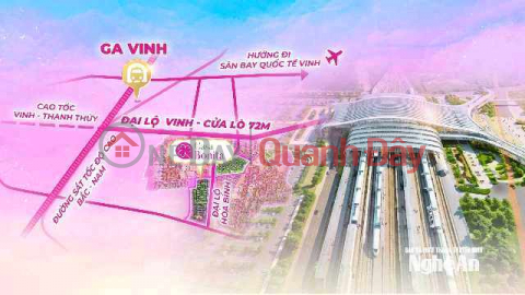 Corner plot for sale on the orchid business street in Visip, Nghe An. _0