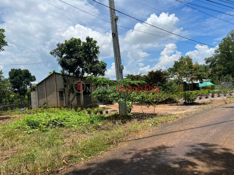 HOT HOT - NEED TO SELL LAND LOT IN Dong Tien, Dong Tien Commune, Dong Phu District, Binh Phuoc | Vietnam Sales | đ 600 Million