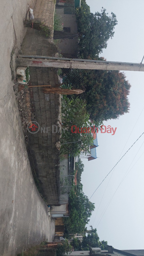 Quick sale of 1 lot at the corner of Truong Yen Chuong My, Hanoi, area 465m2, price over 5 billion. _0