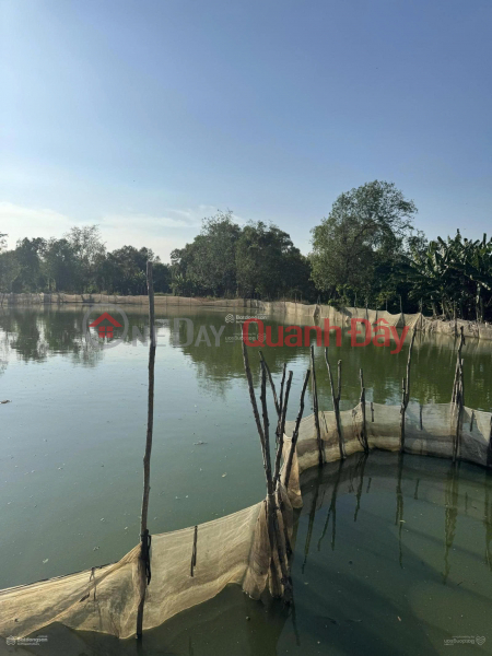 đ 5,2 tỷ Bán đất ruộng HCM view sông HCM phù hợp đầu tư lâu dài - gần khu dân có tiềm năng tương lai