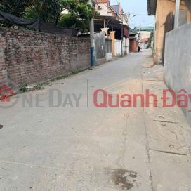 Cực hiếm, cơ hội có một không hai, sở hữu 37m đất tổ 9, Quang Minh chỉ với 1,95 tỷ _0