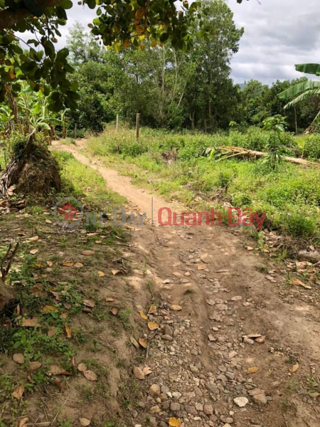 Property Search Vietnam | OneDay | Residential Sales Listings, Own Right Now Beautiful Land Lot Great Location In Dien Dien Commune, Dien Khanh District, Khanh Hoa