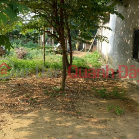 Plot for sale in Hoa Ninh Commune, Hoa Vang District, Da Nang City _0