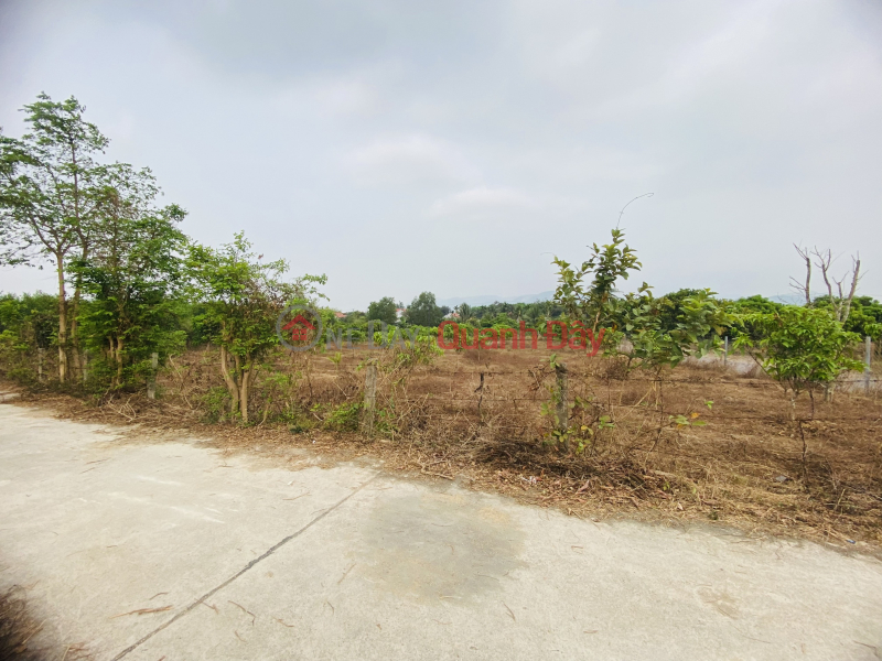 đ 1.25 Billion | POTENTIAL INVESTMENT OPPORTUNITY IN LAND LOT IN SUOI TIEN, DIEN KHANH PRICE FROM ONLY 2 MILLION\\/M2 -Contact 0901 359 868