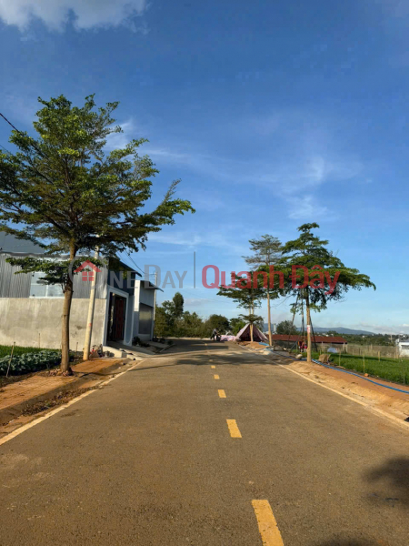 131m2 of residential land for sale in Nghia Hiep village, Lien Hiep commune, Duc Trong district, Lam Dong province. Price: 1.4 billion VND., Vietnam | Sales, đ 1.4 Billion
